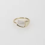 Anillo concha abierto